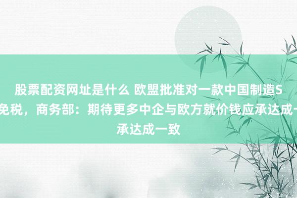 股票配资网址是什么 欧盟批准对一款中国制造SUV免税，商务部：期待更多中企与欧方就价钱应承达成一致