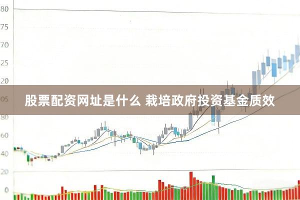 股票配资网址是什么 栽培政府投资基金质效