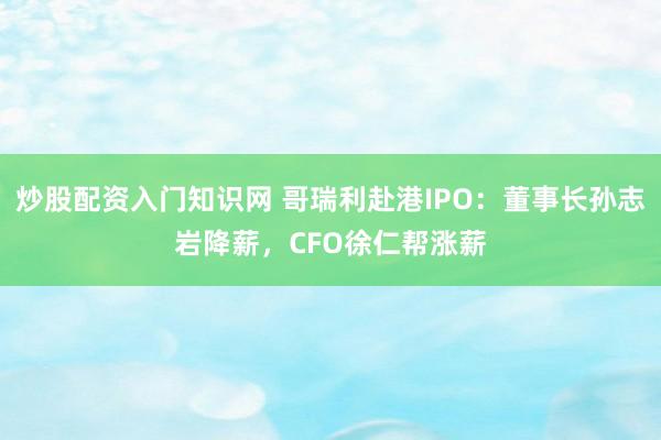 炒股配资入门知识网 哥瑞利赴港IPO：董事长孙志岩降薪，CFO徐仁帮涨薪