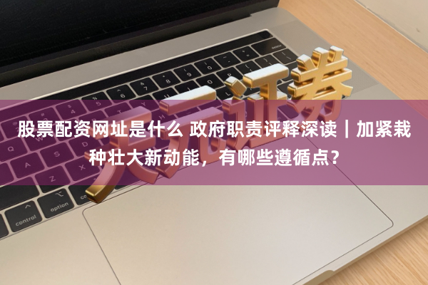 股票配资网址是什么 政府职责评释深读｜加紧栽种壮大新动能，有哪些遵循点？
